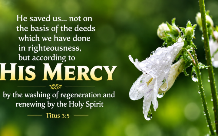 Titus 3:5 2026 Bible verse about grace, mercy, and salvation