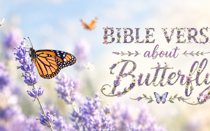 Bible verse about butterfly with monarch butterfly on purple lavender flowers